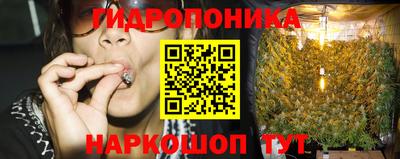 амф Можга