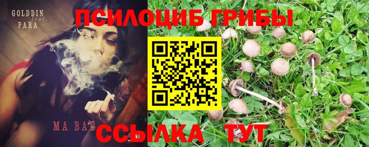 Галлюциногенные грибы Magic Shrooms Великие Луки